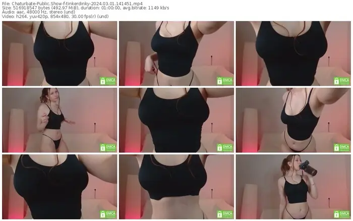 2024/03/01/chaturbate-tinkerdinky-14-14-51