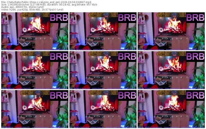 2024/03/04/chaturbate-calypso_and_ge1-03-28-47