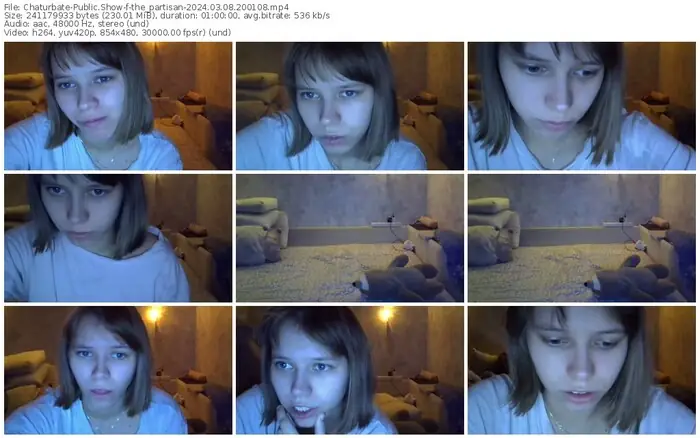 2024/03/08/chaturbate-the_partisan-20-01-08