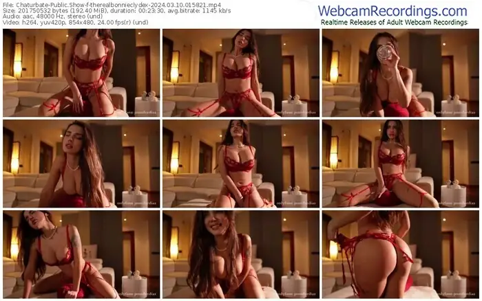 2024/03/10/chaturbate-therealbonnieclydex-01-58-21