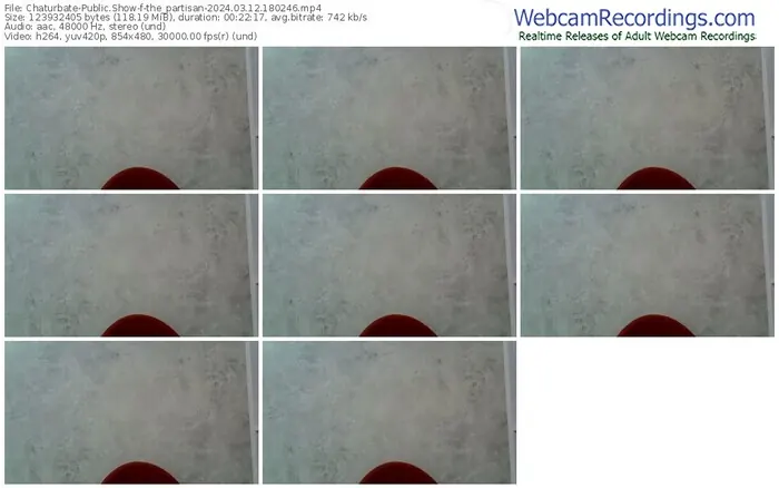 2024/03/12/chaturbate-the_partisan-18-02-46