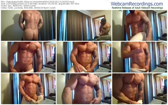 2024/03/13/chaturbate-imnewherelollol-19-15-55
