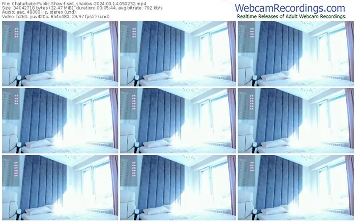 2024/03/14/chaturbate-swt_shadow-05-02-32
