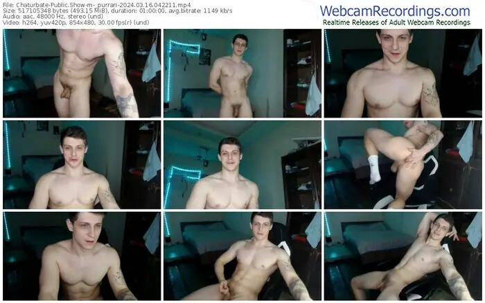 2024/03/16/chaturbate-_purrari-04-22-11