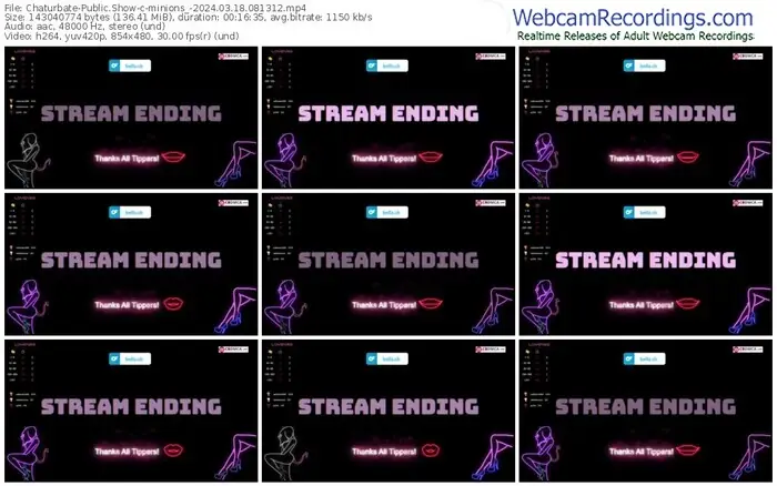 2024/03/18/chaturbate-minions_-08-13-12