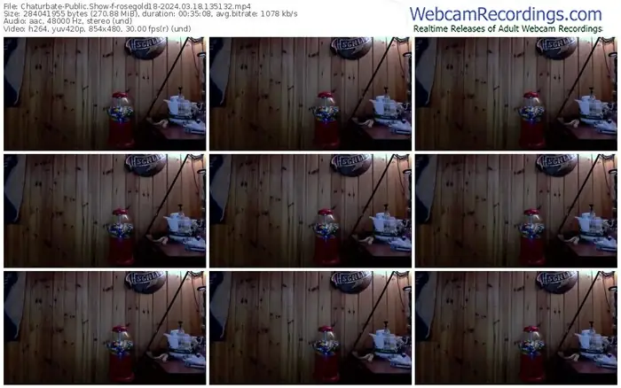 2024/03/18/chaturbate-rosegold18-13-51-32