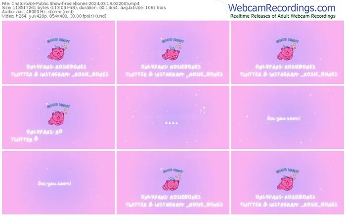 2024/03/19/chaturbate-rosiebones-02-20-05