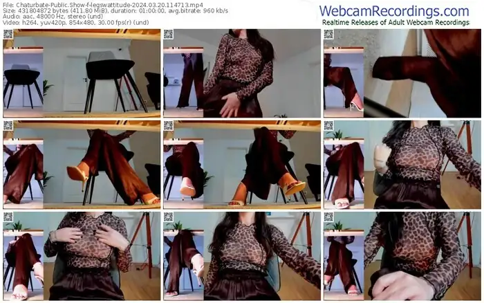 2024/03/20/chaturbate-legswattitude-11-47-13