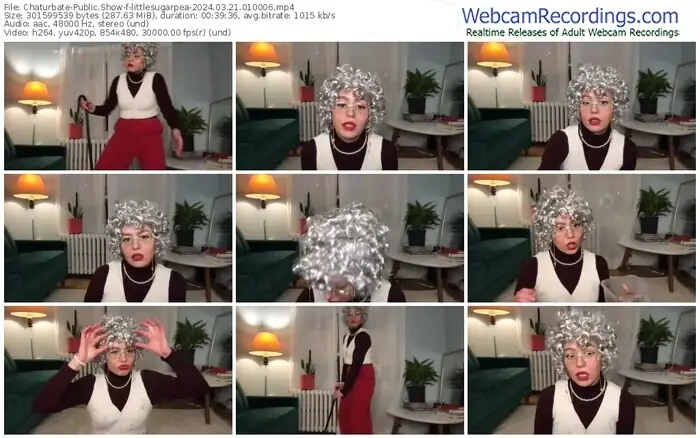 2024/03/21/chaturbate-littlesugarpea-01-00-06