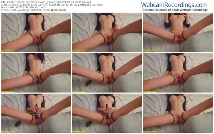 2024/03/22/chaturbate-wild_schoolgirl-03-33-34