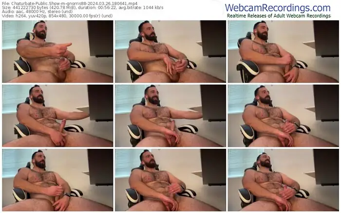 2024/03/26/chaturbate-gnorris88-18-06-41