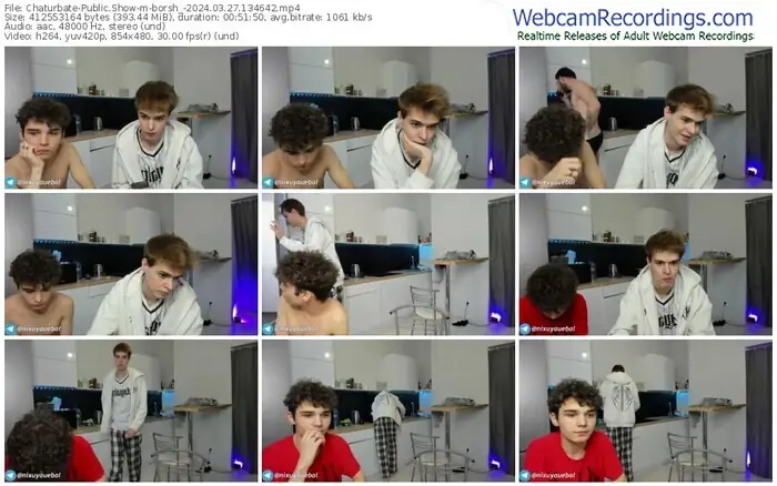 2024/03/27/chaturbate-borsh_-13-46-42