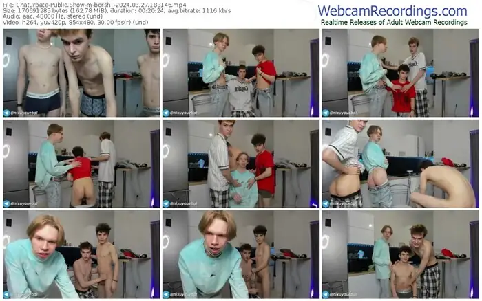2024/03/27/chaturbate-borsh_-18-31-46