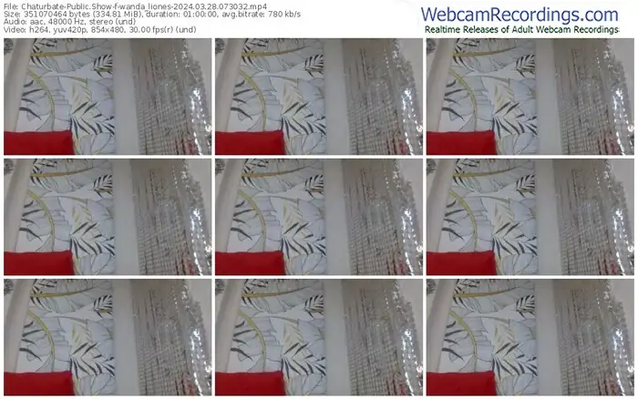 2024/03/28/chaturbate-wanda_liones-07-30-32