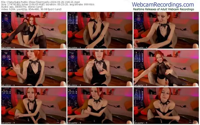 2024/03/29/chaturbate-berrryjelly-19-41-21