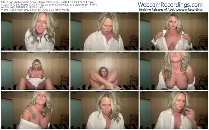 2024/03/29/chaturbate-horniesthousewife-22-20-04