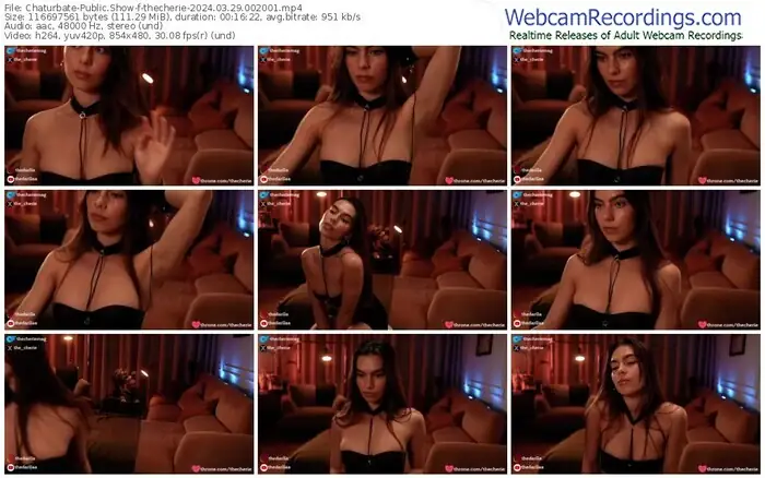 2024/03/29/chaturbate-thecherie-00-20-01