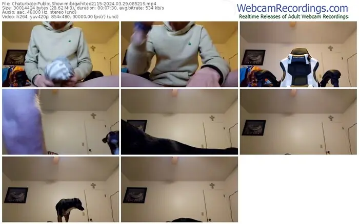 2024/03/29/chaturbate-bigwhited2115-08-52-19