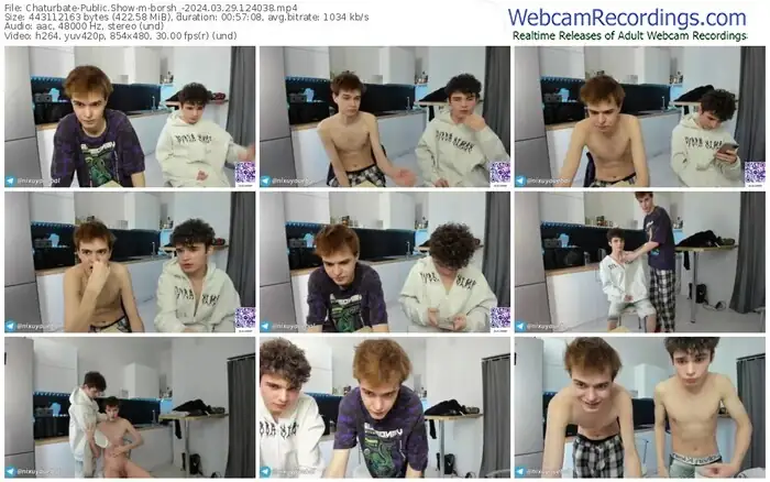 2024/03/29/chaturbate-borsh_-12-40-38