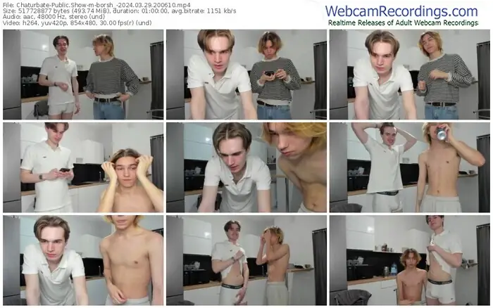 2024/03/29/chaturbate-borsh_-20-06-10
