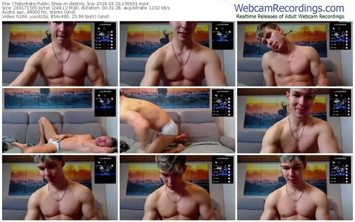 2024/03/29/chaturbate-destroy_boy-10-06-01