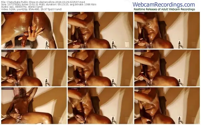 2024/03/29/chaturbate-dextercollins-02-25-37