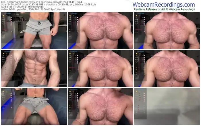2024/03/29/chaturbate-zakoribulo-18-14-11