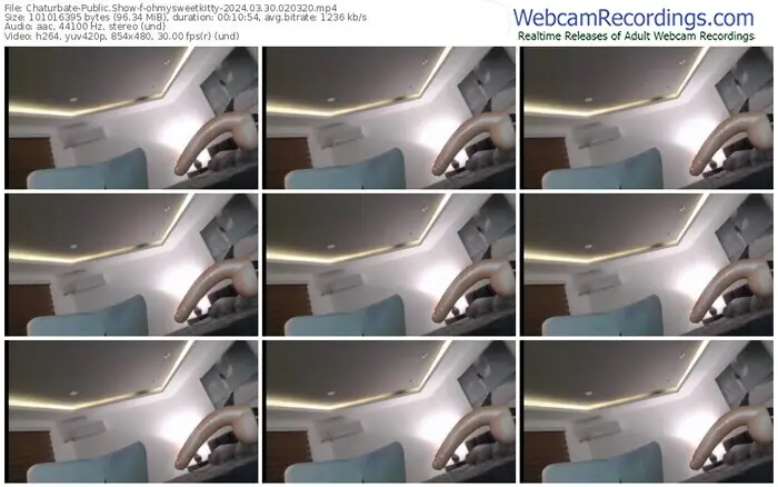 2024/03/30/chaturbate-ohmysweetkitty-02-03-20