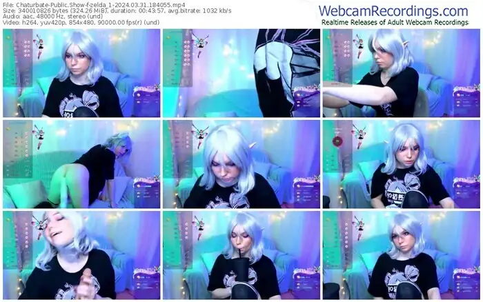 2024/03/31/chaturbate-zelda_1-18-40-55