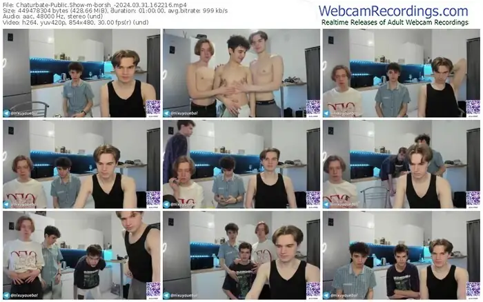2024/03/31/chaturbate-borsh_-16-22-16
