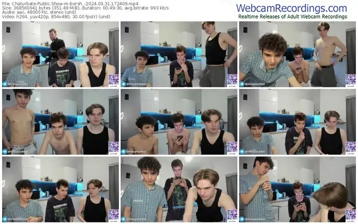 2024/03/31/chaturbate-borsh_-17-24-09