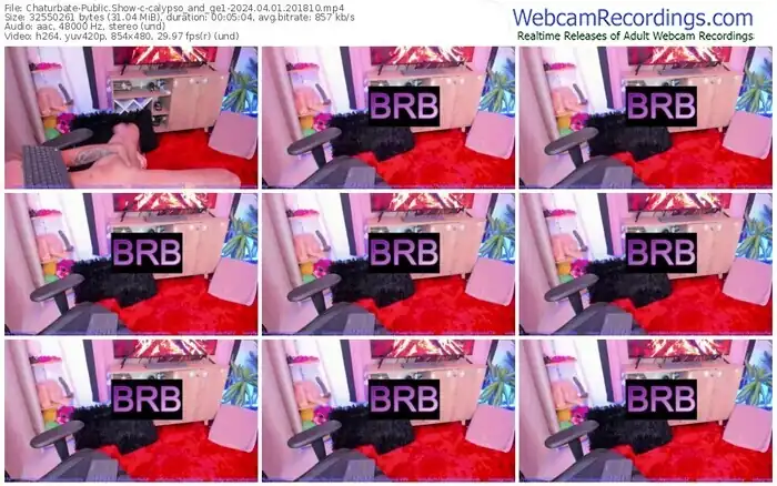 2024/04/01/chaturbate-calypso_and_ge1-20-18-10