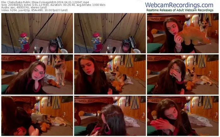 2024/04/01/chaturbate-rosegold18-12-26-47