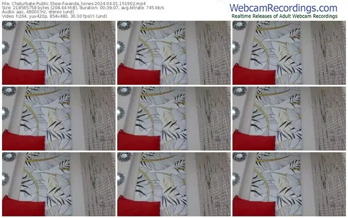 2024/04/01/chaturbate-wanda_liones-15-19-02