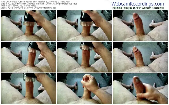 2024/04/01/chaturbate-officejiggler-17-32-49