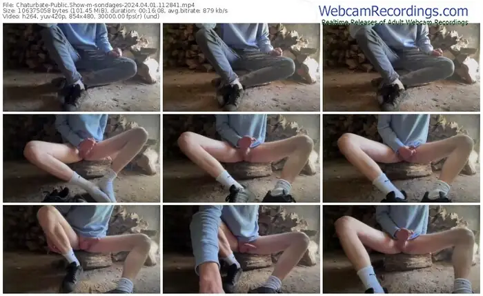 2024/04/01/chaturbate-sondages-11-28-41