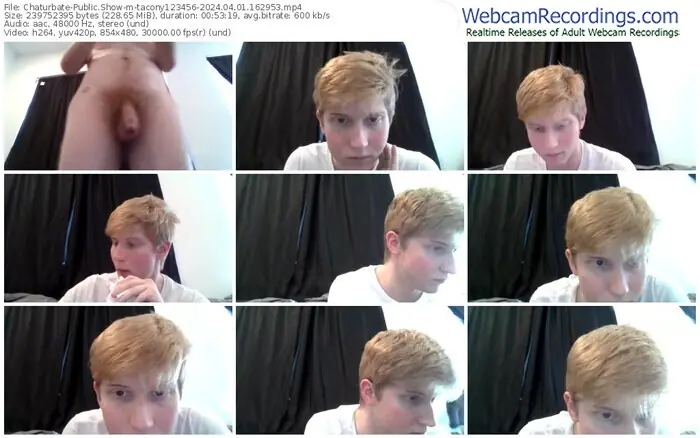 2024/04/01/chaturbate-tacony123456-16-29-53