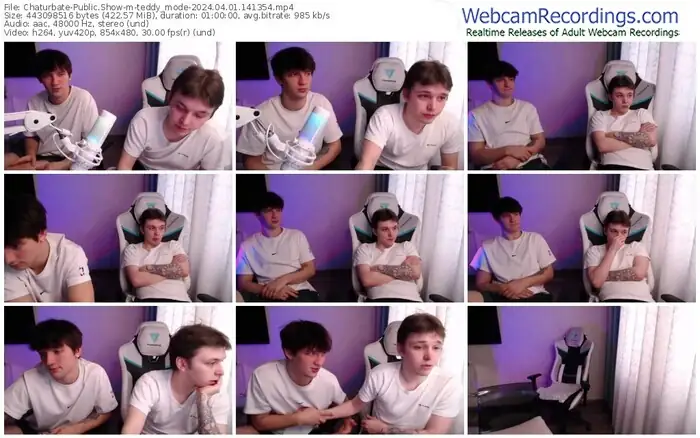 2024/04/01/chaturbate-teddy_mode-14-13-54