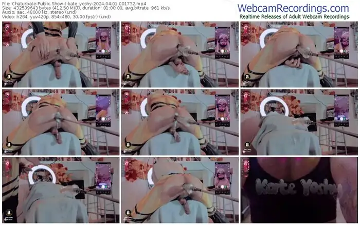 2024/04/01/chaturbate-kate_yoshy-00-17-32