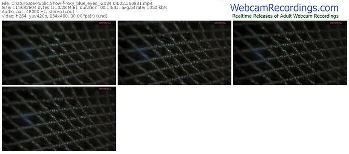 2024/04/02/chaturbate-roxy_blue_eyed_-16-09-31