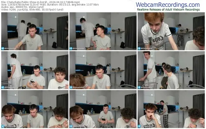 2024/04/02/chaturbate-borsh_-17-48-48