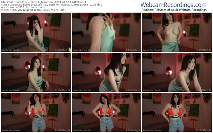 2024/04/03/chaturbate-_blackbee_-19-44-50