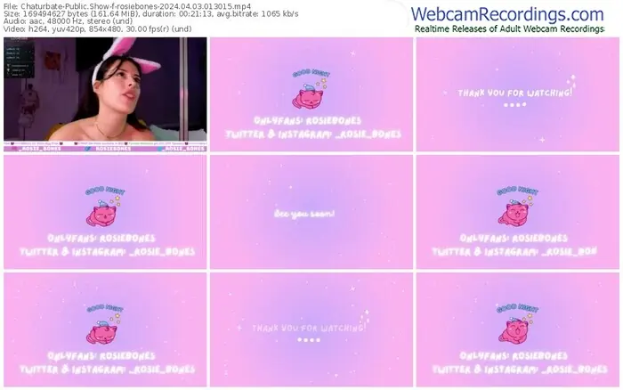 2024/04/03/chaturbate-rosiebones-01-30-15
