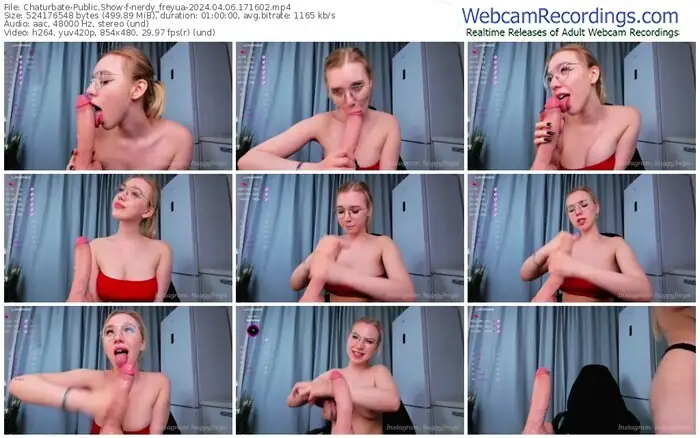 2024/04/06/chaturbate-nerdy_freyua-17-16-02