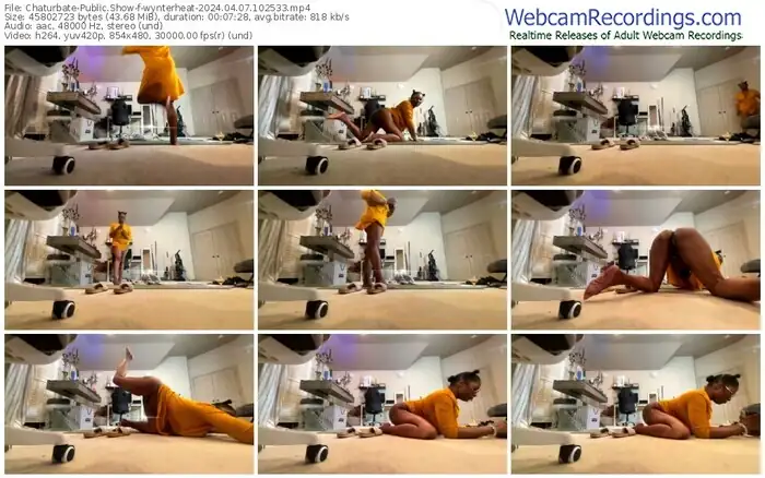 2024/04/07/chaturbate-wynterheat-10-25-33