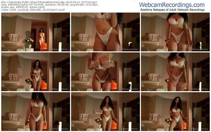 2024/04/11/chaturbate-therealbonnieclydex-22-37-33