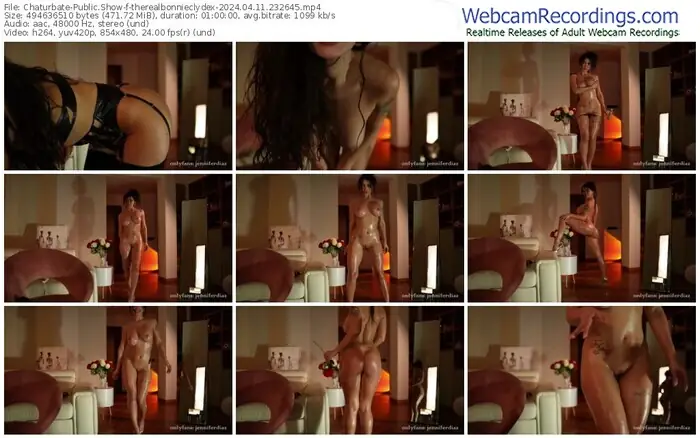 2024/04/11/chaturbate-therealbonnieclydex-23-26-45