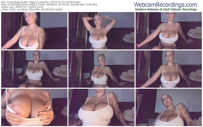 2024/04/12/chaturbate-_morpho_-10-42-18