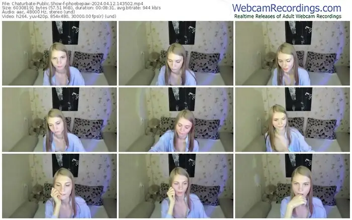 2024/04/12/chaturbate-phoebepaw-14-35-02
