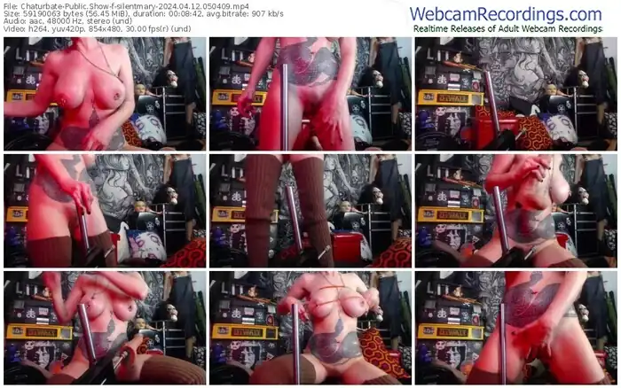 2024/04/12/chaturbate-silentmary-05-04-09